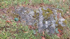 Middeleeuwse grafsteen met mos