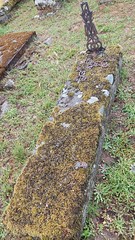 Middeleeuwse grafsteen met mos