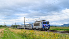 Ebersheim SNCF 22259 met RRR-stam 236
