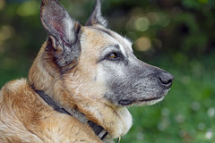 Another profile of Inès - Photo of Pfaffenheim
