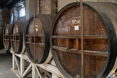 Cognac : Château de Cognac