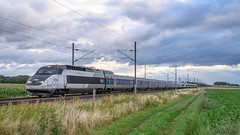 Ebersheim SNCF TGV-inOui 549-507 (train 5 521) Strasbourg-Motpellier Saint-Roch