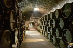 Cognac : Château de Cognac - Photo of Burie