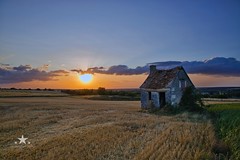 Sunset over shack in the field