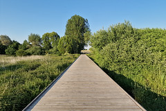 Cycleway near Musson