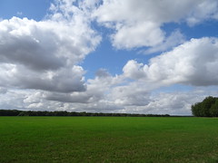 Green field, blue skies