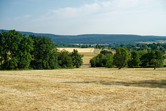 Country landscape