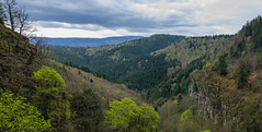Vue sur le massif des Vosges (Cirque du Nideck)