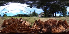Garden with pine cones, 3D