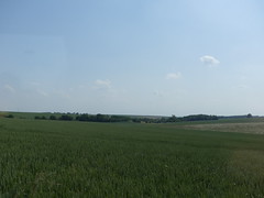 Near Thiepval: Nab Valley (Somme)