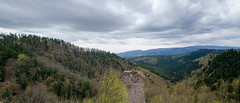 Panorama sur les Vosges