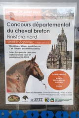 Brittany - Saint-Thégonnec - cheval breton
