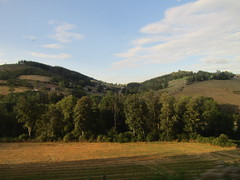 202308_0893 - Photo of Bourg-de-Thizy