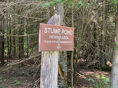 Stump Pond area