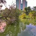 Toa Payoh Garden