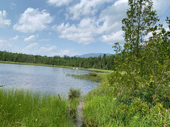 Stump Pond area