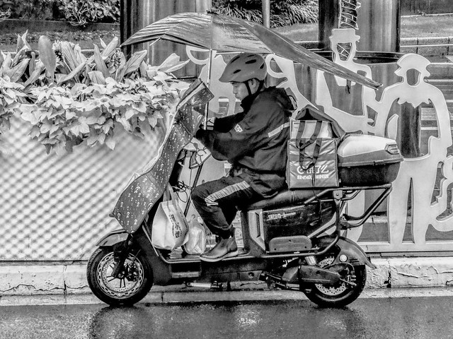 A delivery man in the rain, checking orders on his smartphone on a busy streetside