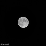 Full moon/Blue moon