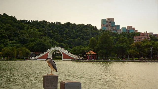 Bridge Dahu Park
