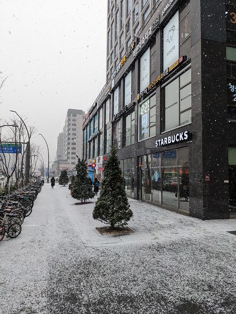서울. 눈.