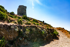 La tour  génoise du scalu de Pinu-03 - Photo of Pietracorbara