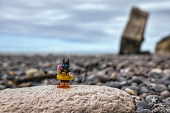 Vacation Batman at Quiberville - Photo of Avremesnil