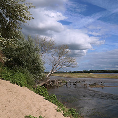 La Loire depuis l-île du Hardas - Photo of Mozé-sur-Louet