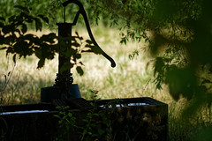 Shadow of fountain - Photo of Ebersmunster