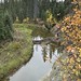 Whitemud Creek Edmonton Alberta