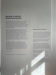 L'été photographique de Lectoure 2023 - Restaurer la mémoire  Sènami Donoumassou.