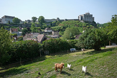 Le château de Falaise depuis le quartier Saint-Adrien, Venelle des Palis