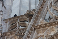 Facade detail with crow (and its prey)