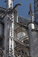 Flying buttresses and gargoyle