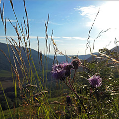 Monts du Cantal, France - Photo of Le Falgoux