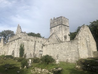 Killarney: Muckross Abbey