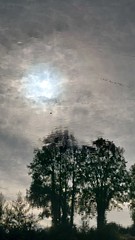 Bomen wolken zon - Photo of Cuchery