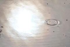 Reflectie zon en ring in water