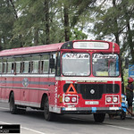 NB-8863 Eravur Depot Ashok Leyland - Viking 210 Turbo B+ type Bus at Trincomalee in 08.09.2023
