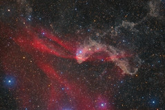 Sh2-126 - The Great Lacerta Nebula - Photo of Saint-Dalmas-le-Selvage
