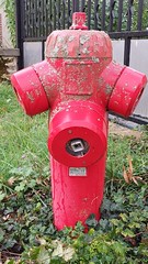 Fire extinguisher face - Photo of Vauchamps