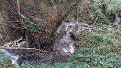 Riviertje waterval - Photo of Soizy-aux-Bois