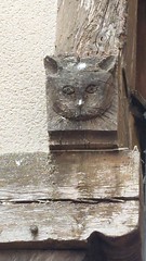 Straatbeeld Troyes Kat houtsnede