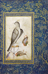 Faucon et études d-oiseaux, art moghol (musée Guimet, Paris) - Photo of Croissy-sur-Seine