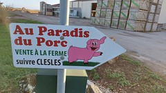 Au Paradis du Porc - Photo of Pars-lès-Romilly