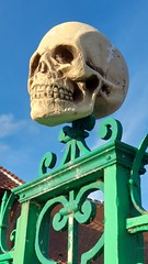 Halloween: schedel op hek gespietst
