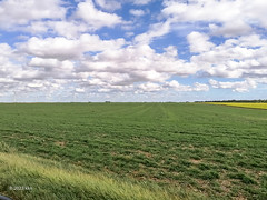 Plains - Photo of Cormainville