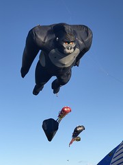 gorilla - Photo of Puget-sur-Argens