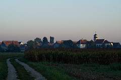 Ichtratzheim at dawn - Photo of Gerstheim