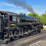 The Bluebell Railway Line, Sussex by John Fogarty