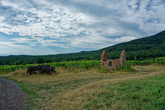 Ruin, vineyard, country